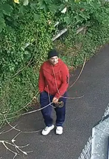 Cummersdale burglary 3