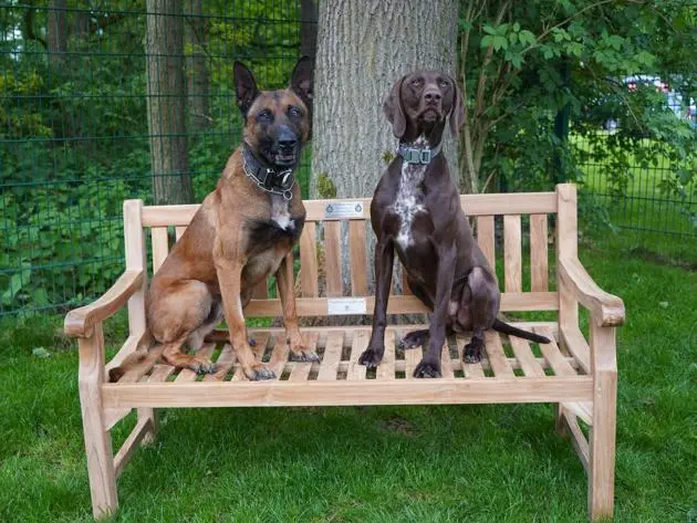 PD Quake and TPD Wilson
