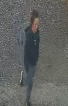 Rowrah burglary CCTV image